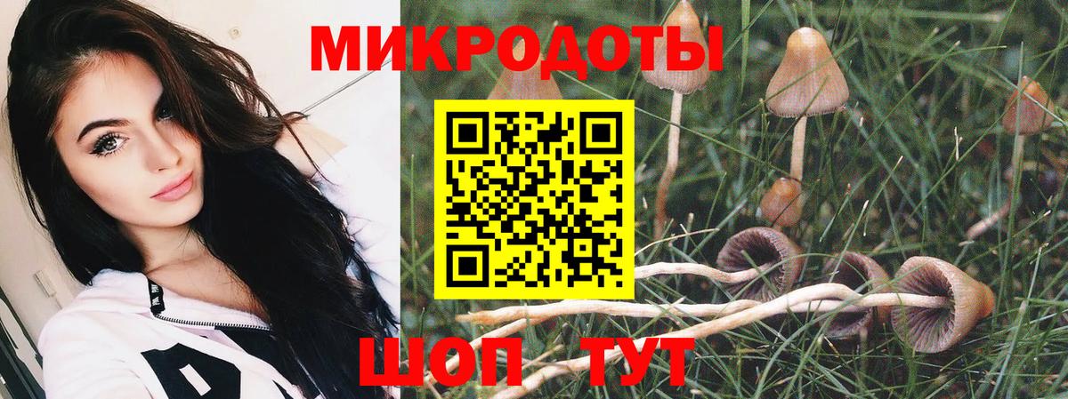 Галлюциногенные грибы мухоморы  Вход с VPN  Кисловодск  Псилоцибиновые грибы ЛСД 